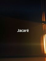 Jacaré